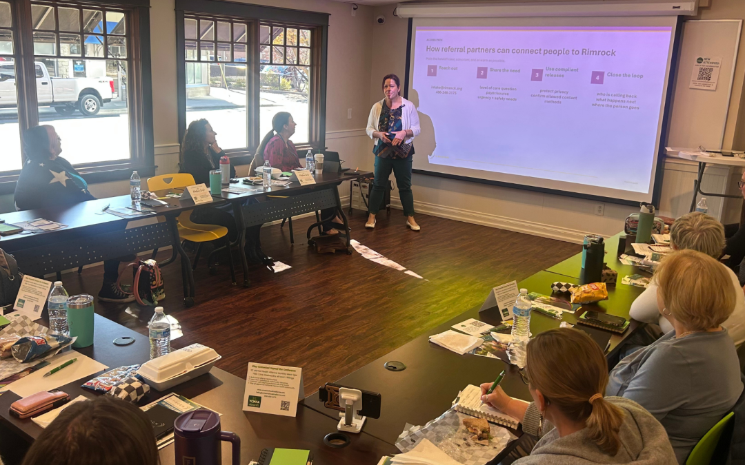 Trauma-Informed Principles with Chyrel Snedigar